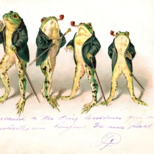 Five frogs with pipes and walking sticks on a postcard