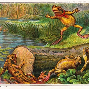 Frogs playing hide and seek on a Christmas card