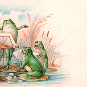 Four frogs playing and singing on a greetings postcard