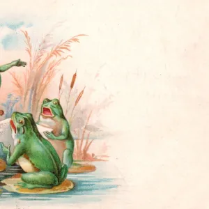 Four frogs playing and singing on a greetings postcard