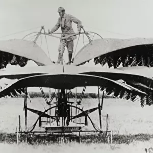Frost Ornithopter