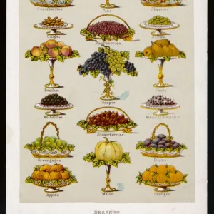 Fruit Desserts (1890)