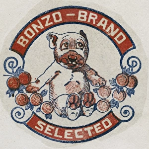 Fruit Label -- Bonzo Brand