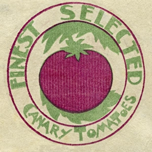 Fruit Label -- Canary Tomatoes