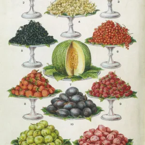 Fruit on Platters 1907