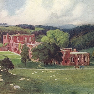 Furness Abbey / Goble 1908