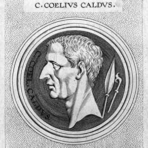 Gaius Coelius Caldus