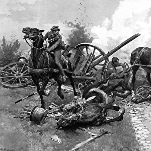 Gallipoli - bringing in horses by Matania, WW1