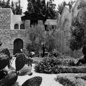 The Garden of Gethsemane