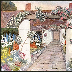 Garden / Guildford 1909