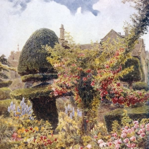 Garden / Levens Hall 1911