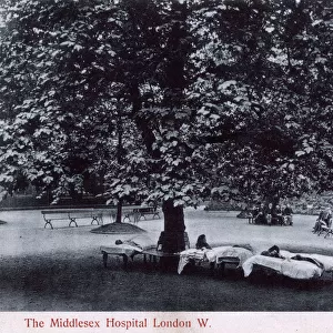Garden of the Middlesex Hospital, Mortimer Street, London
