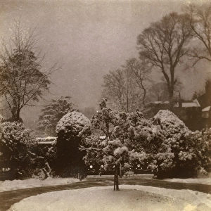 Front garden in the snow, Ealing, West London