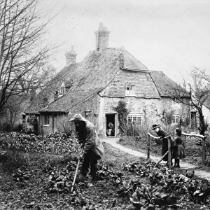 Gardening 1895