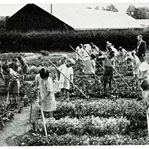 Gardening, Fyfield Residential Open Air School, Essex