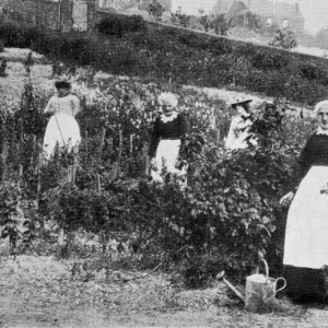 Gardening, Inebriates Reformatory, Lewes, Sussex