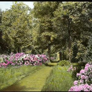 Gardens at Aldenham House, Hertfordshire