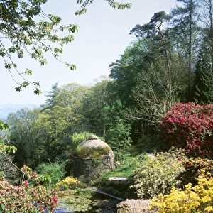 Gardens, Cotehele House, Tamar Valley, Cornwall