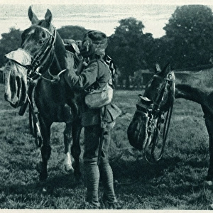 Gas-masked horse and horseman at Aldershot