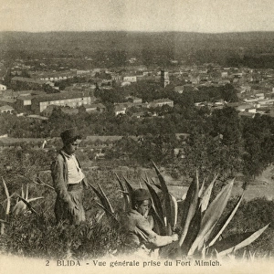 General view of Blida, from the Fort of Mimich