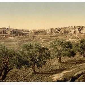General view of the well of David, Bethlehem, Holy Land, (i