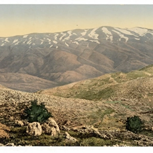 General view, Mount Hermon, Holy Land (i. e. Lebanon and Syr