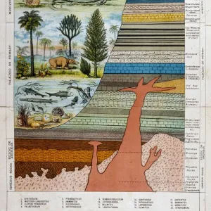 Geological Strata 19C