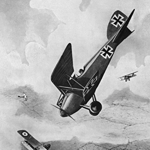 The German DIII Albatros diving at a foe, WW1