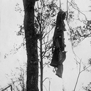 German overcoat hanging from tree, Western Front, WW1