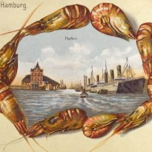 Germany - Hamburg - The Harbour