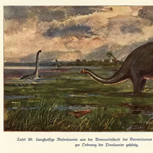 Giant Brontosaurs in a freshwater lake, Jurassic