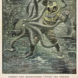 Giant Octopus & US Diver