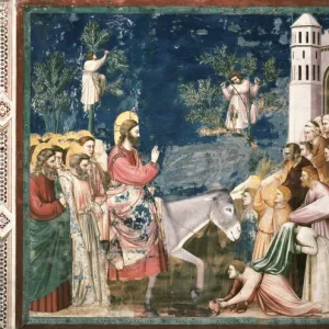 Giotto di Bondone (1267-1337)