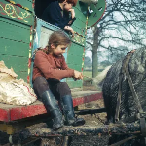 Gipsy girl plaiting horses tail, Surrey