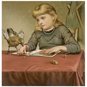 Girl and Bird on Table