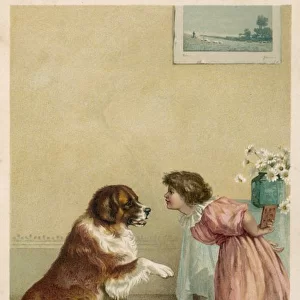 Girl and Dog / Begging