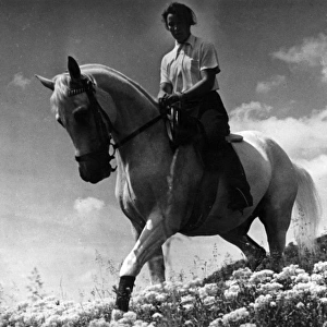 Girl on a Horse