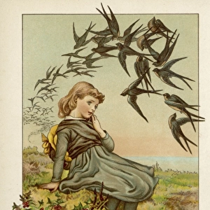 Girl Watches Swallows
