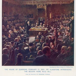 Gladstone / Home Rule Bill