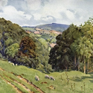 Glos / May Hill 1927