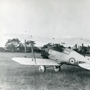 Gloster Gamecock I, J8033