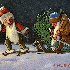 Gnomes bring home Christmas tree