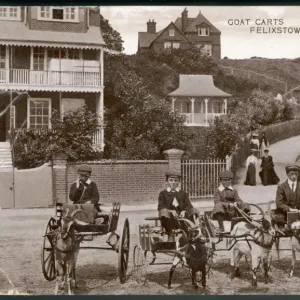 Goat Carts Felixstowe