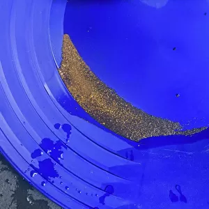 Gold with black sands in a gold pan