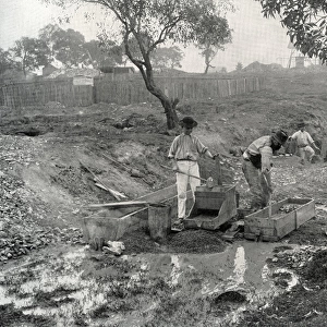 Gold Digging in Australia
