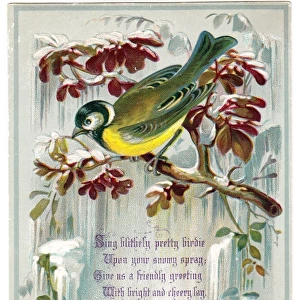 Goldfinch on a Christmas card