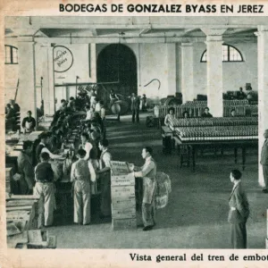 Gonzalez Byass warehouse, Jerez de la Frontera, Cadiz, Spain