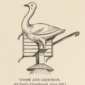 Goose and Gridiron