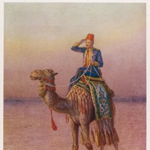 Gordon / Dava / Sudan / 1876