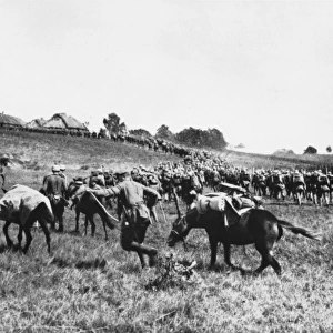 Gorlice-Tarnow Offensive 1915